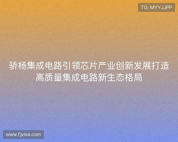 骄杨集成电路引领芯片产业创新发展打造高质量集成电路新生态格局