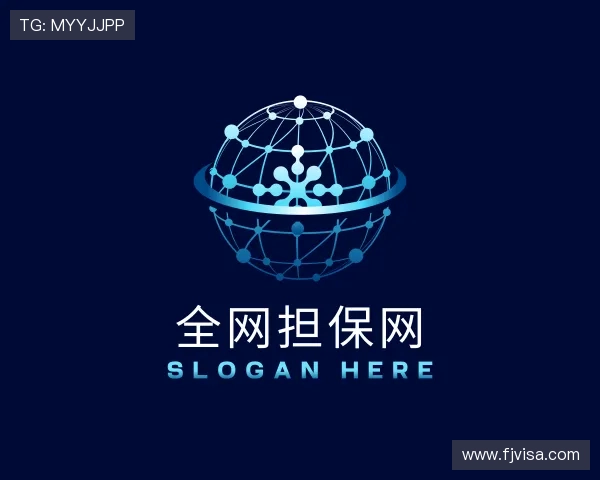 介绍全网担保网